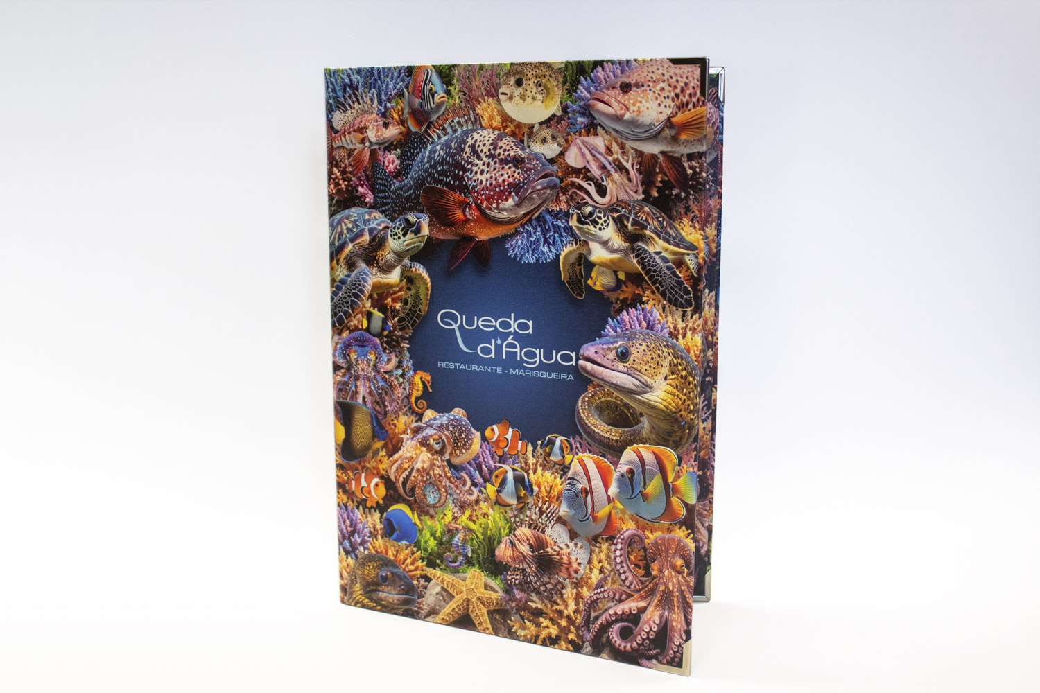 Ementa Queda D'água