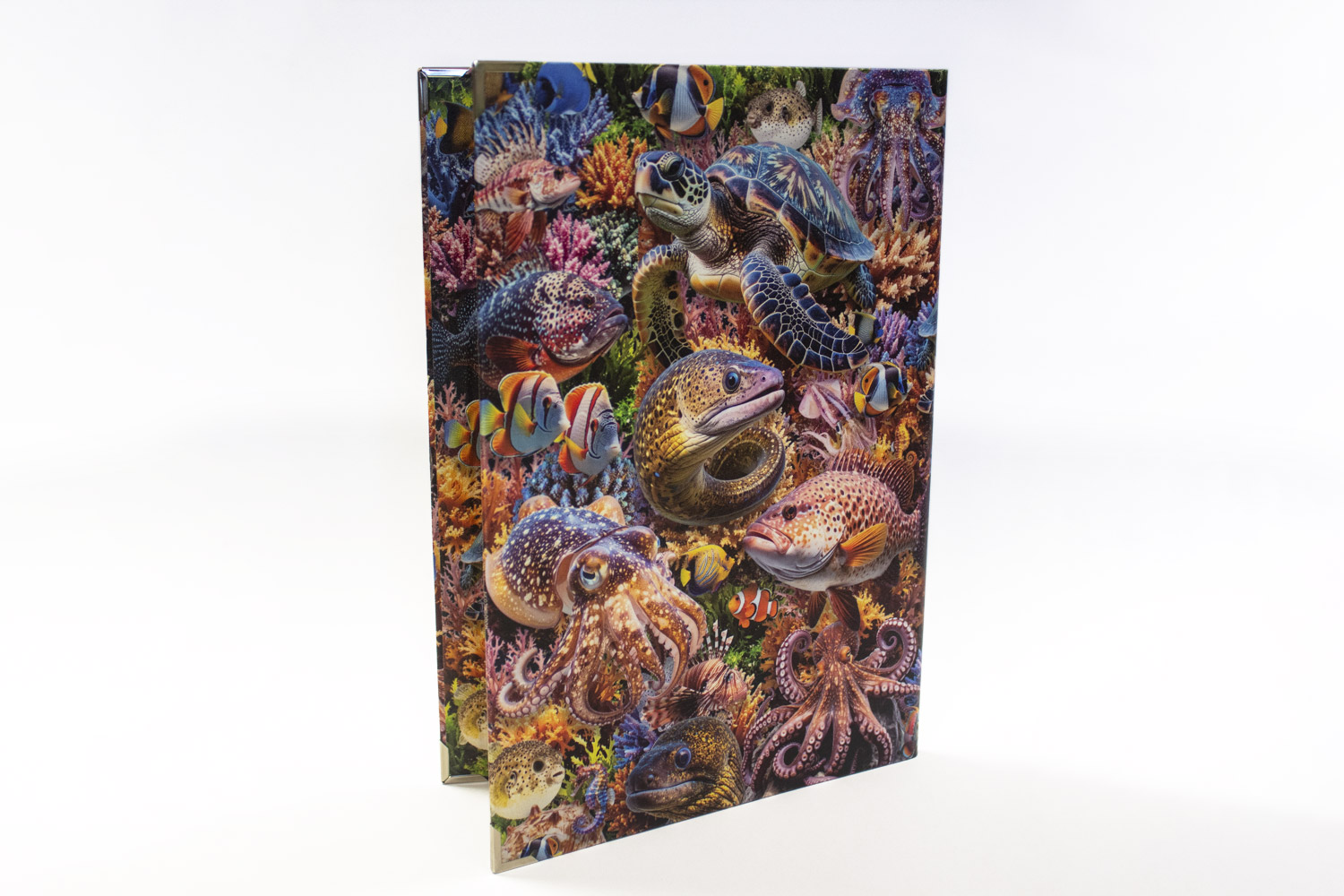 Ementa Queda D'água