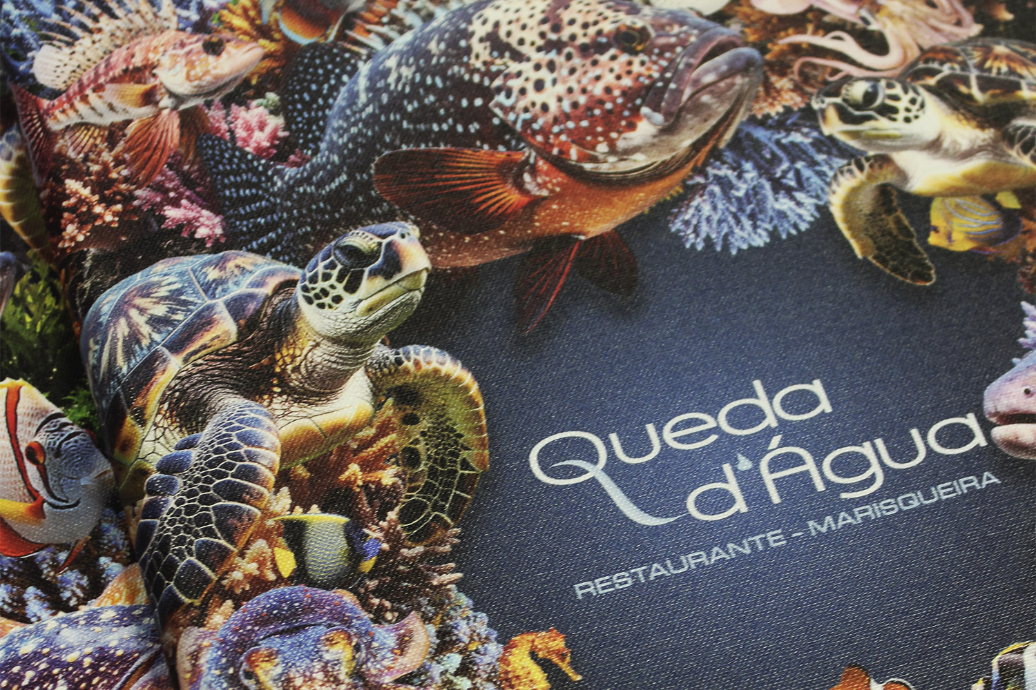 Ementa Queda D'água