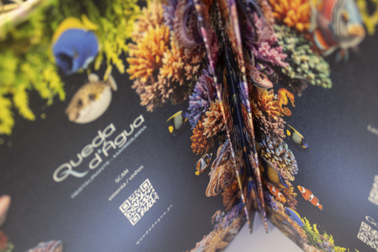 Ementa Queda D'água