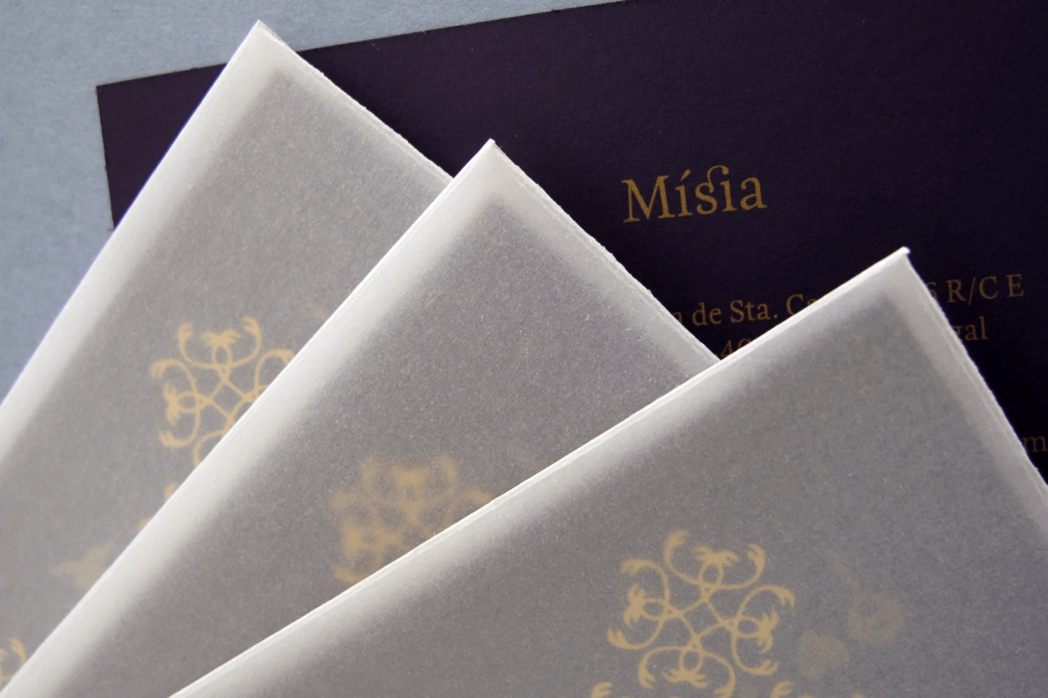 Cartão de visita Mísia