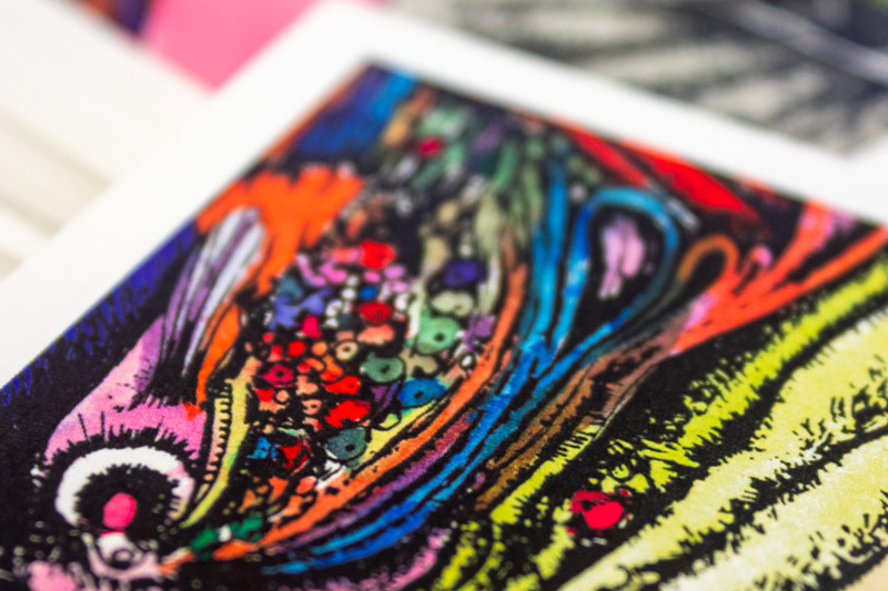 Autocolantes José Brandão M2